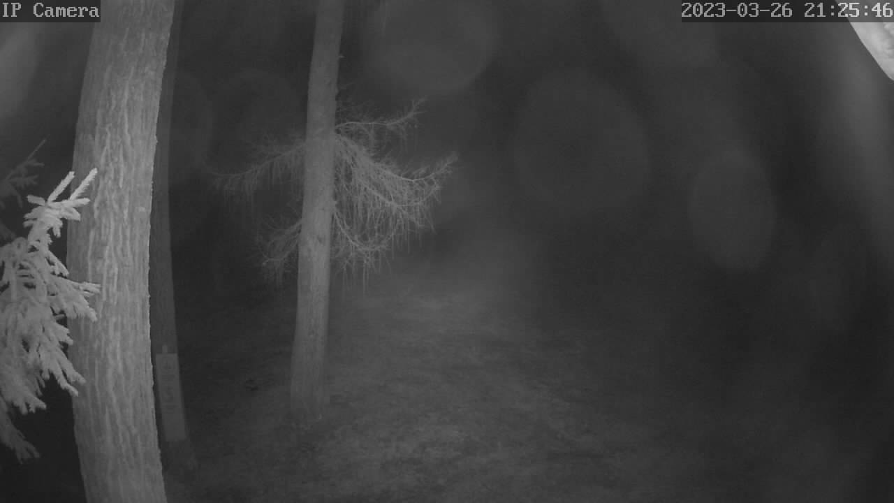 čas pořízení snímku: 26. 03. 2023 - 21:25:50 obrázek z webcamu P23032621254610.jpg